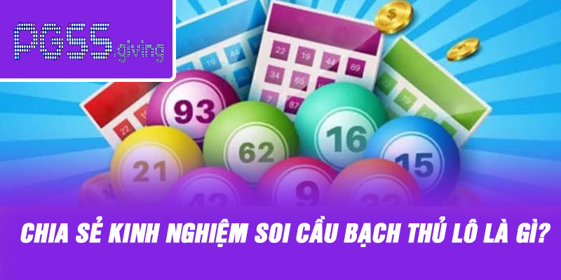 Chia sẻ kinh nghiệm soi cầu bạch thủ lô là gì?