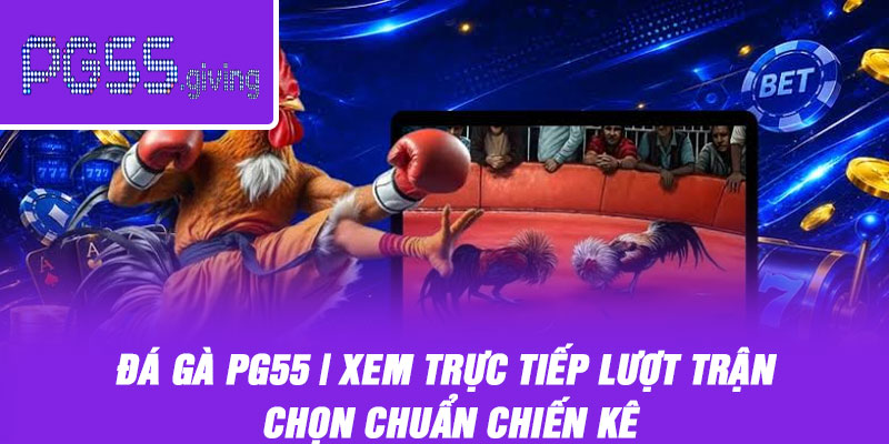 Đá Gà PG55 | Xem Trực Tiếp Lượt Trận Chọn Chuẩn Chiến Kê