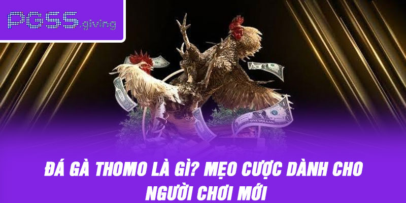 Đá Gà Thomo Là Gì? Mẹo Cược Dành Cho Người Chơi Mới
