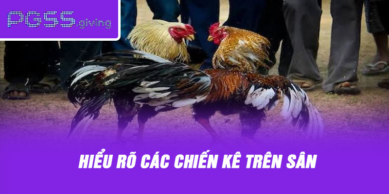 Hiểu rõ các chiến kê trên sân