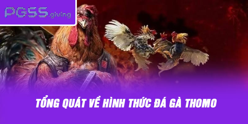 Tổng quát về hình thức đá gà thomo
